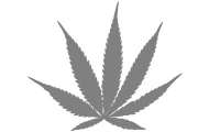 Samolepka v balení -Marihuana